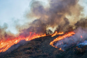 Incendios forestales