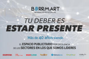 Grupo Borrmart