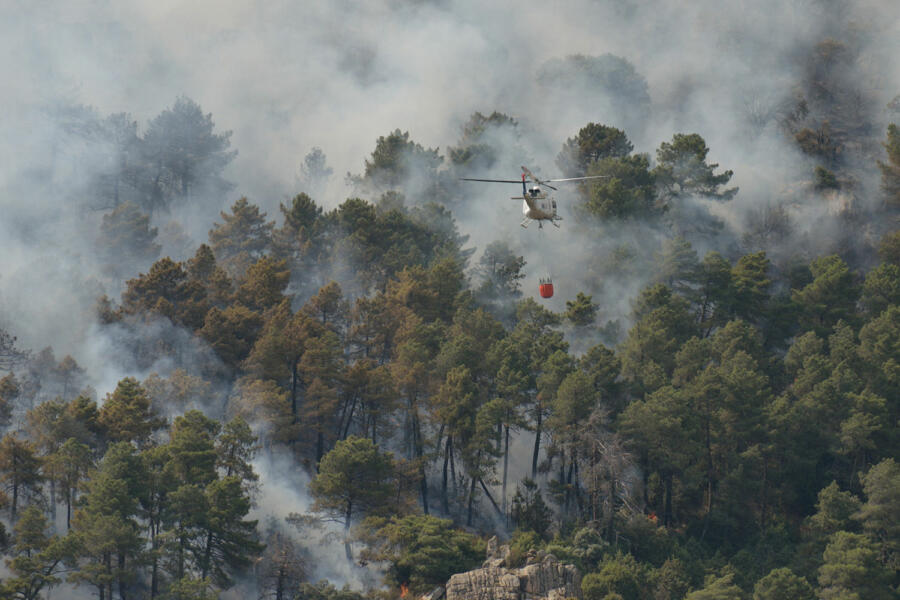 Incendio forestal